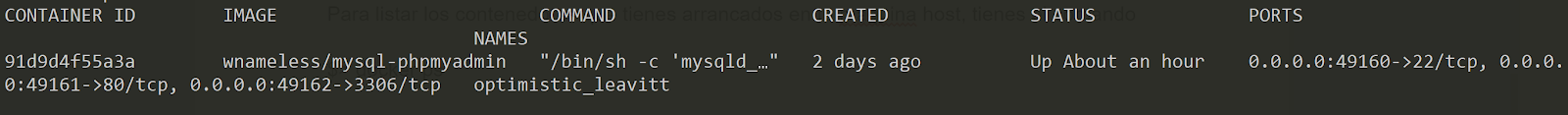 Docker shell#2