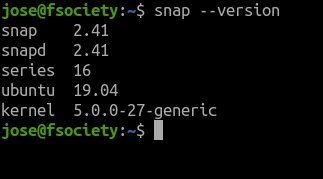 snap version